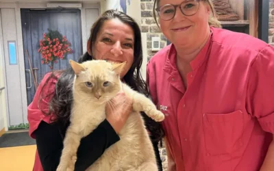 Zorg met passie en plezier