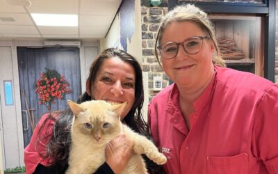 Zorg met passie en plezier